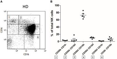 Human CD56dimCD16dim Cells As an Individualized Natural Killer Cell Subset